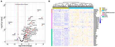 Potential Molecular Mechanism of TNF Superfamily-Related Genes in Glioblastoma Multiforme Based on Transcriptome and Epigenome